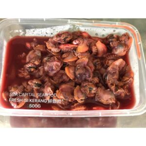 【PRE-ORDER】新鲜蚶肉 【SIZE 90】FRESH ISI KERANG 500G