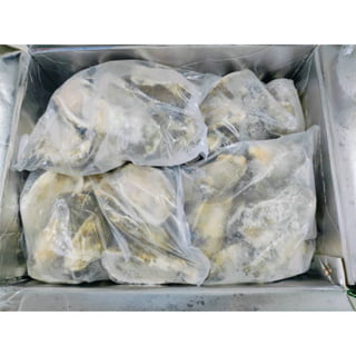 台湾半壳生蚝 FROZEN HALFSHELL OYSTER（10CM-12CM ）| 1CTN 96 PCS