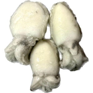 SIZE 30 冷冻墨斗 FROZEN CUTTLEFISH  1KG