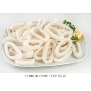 苏东圈 SQUID RING 1KG