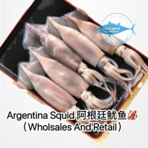 200-300 阿根廷鱿鱼 ARGENTINA SQUID  IQF (10KG=1CTN)