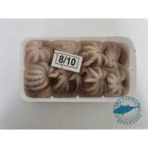 10PCS 韩国八爪鱼 BABY OCTOPUS 280G X 30PKT