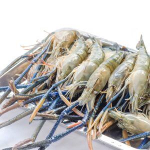 FRESH WATER PRAWN FWP U10 ( 10KG+- PER CTN )