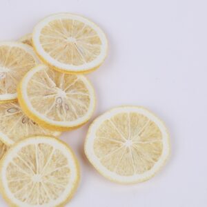 冻干柠檬片 FREEZE DRIED LEMON SLICE 100G