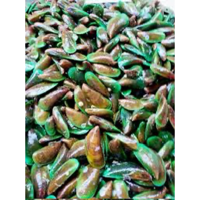 本地全壳青蚝 LOCAL WS GREEN MUSSELL (1KG X 12PKT)