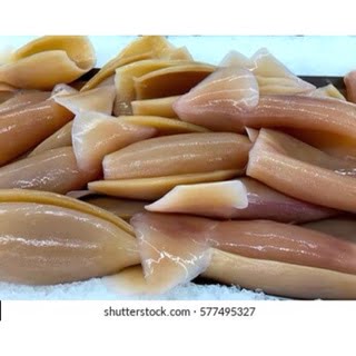 整只发好鱿鱼 WHOLE BROWN SQUID (KG) 15KG PERCTN