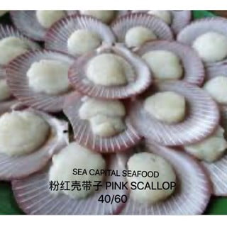 粉红半壳带子 PINK SCALLOP 30-40 (500G X 20PKT)