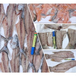 红枣鱼骨 FISH BONE TULANG IKAN JENAHAK ( 15KG+-PER CTN )